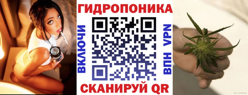 Купить наркотики сайты Вятские Поляны МЕГА вход АМФ МЕФ ГАШ