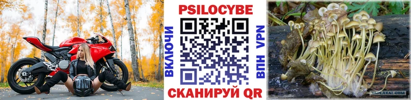 Псилоцибиновые грибы мухоморы  hydra зеркало  Вятские Поляны 