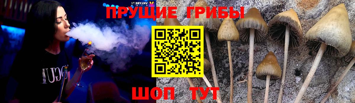 Вятские Поляны  Галлюциногенные грибы мухоморы  Вход с VPN 